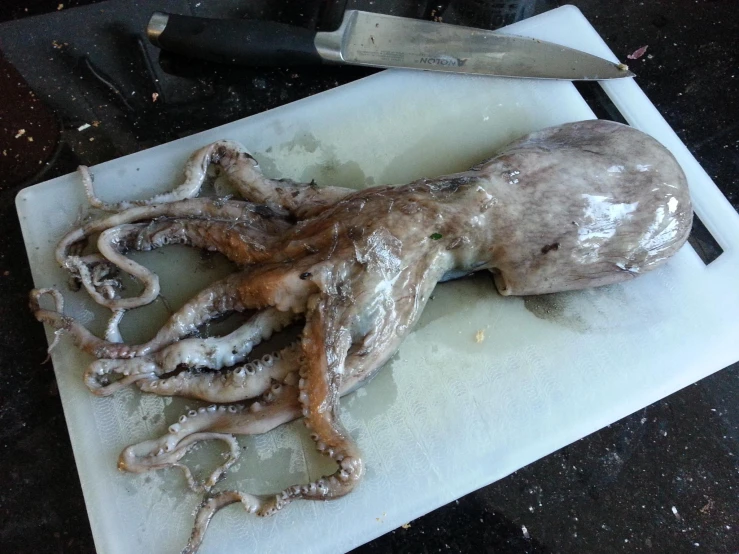 octo is being dried and put on a  board