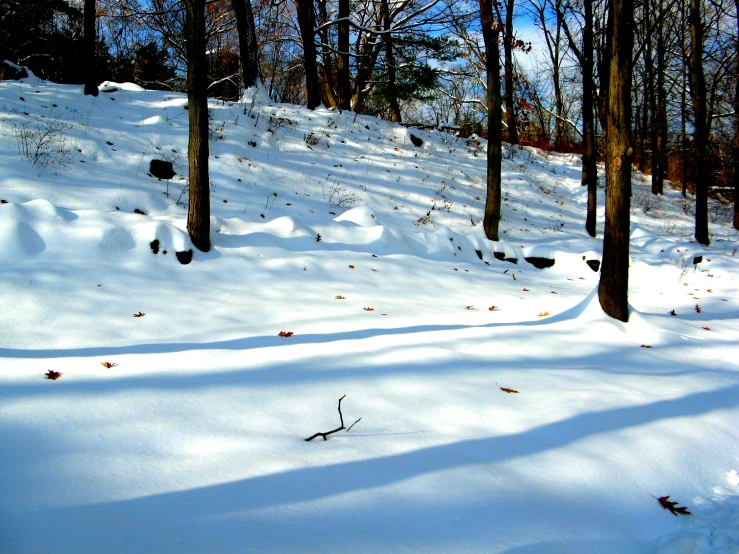 the snowboarder is going down a snowy hill