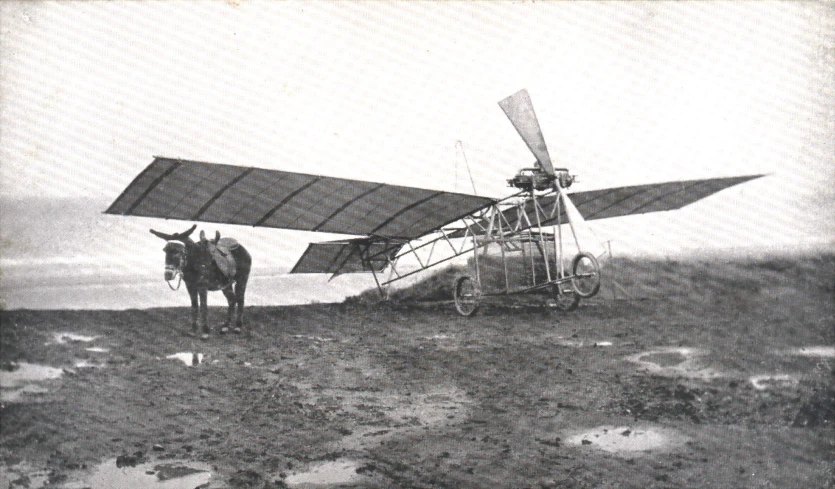 a horse stands next to an airplane on a hill