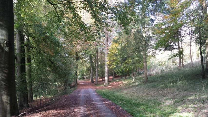 an image of a road with trees in the background