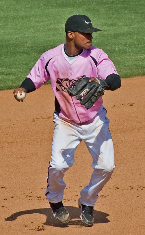 a baseball player about to throw the ball in the field