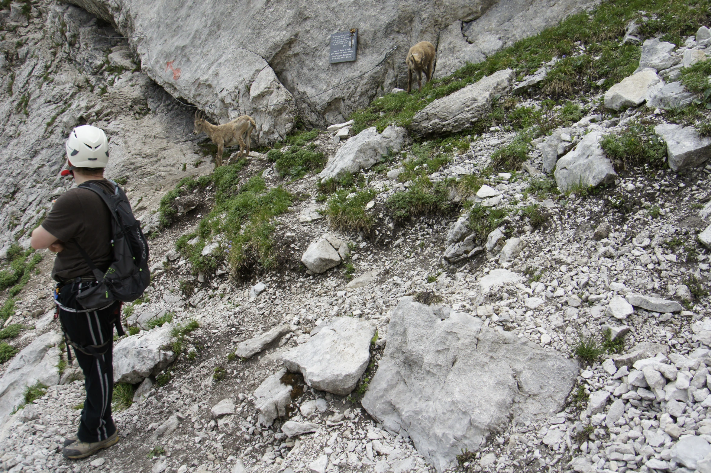 the man is standing on the side of the mountain with his gear on