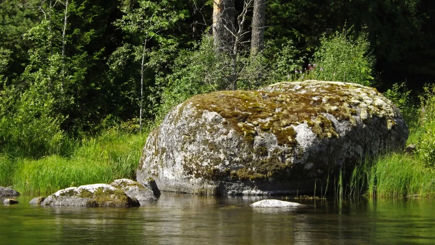 a large rock sitting in a forest surrounded by water