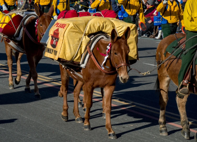 a large group of people standing around a parade