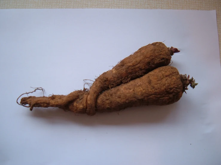 closeup of a peeled vegetable that has roots