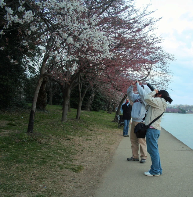 people walking down a path and taking pictures