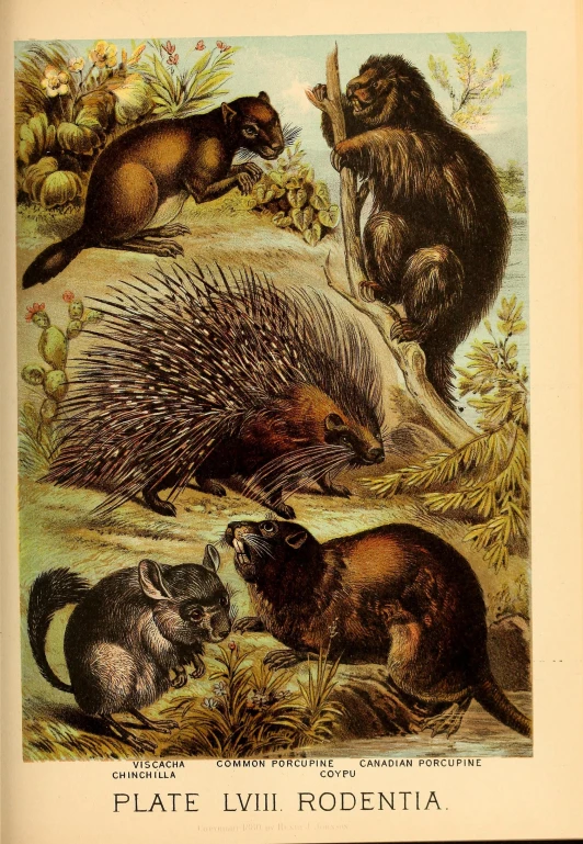 an illustration of an animal with three other animals in the foreground