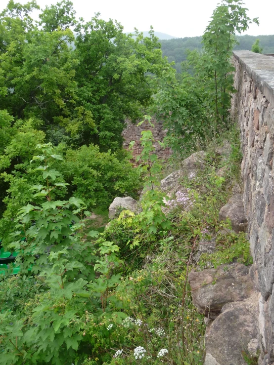 a wall with rocks and vegetation on the side