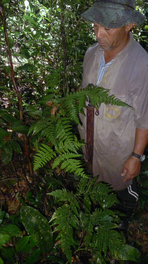 a man is holding soing in his hands and inspecting the plants