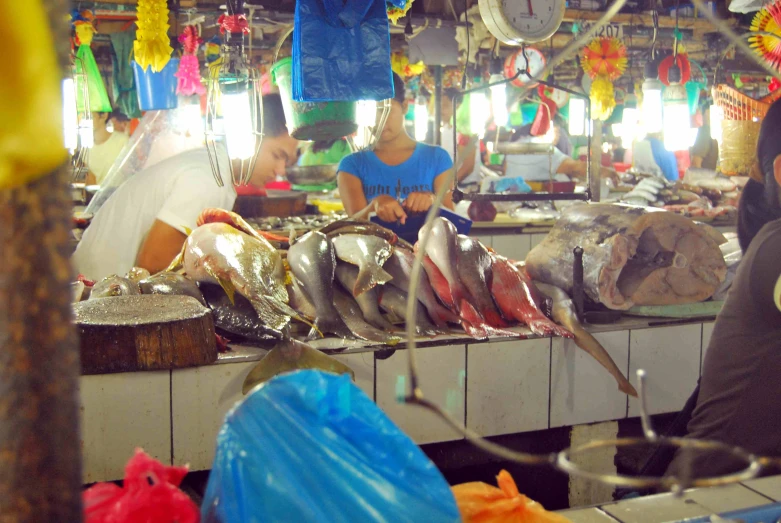 a large number of fish for sale in a market