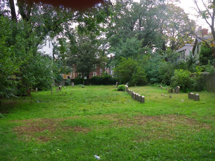 the park has a bunch of tombstones, grass and trees