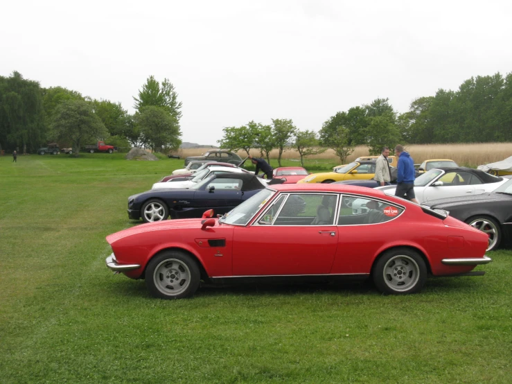 two older cars, one blue and one red sit parked in the grass