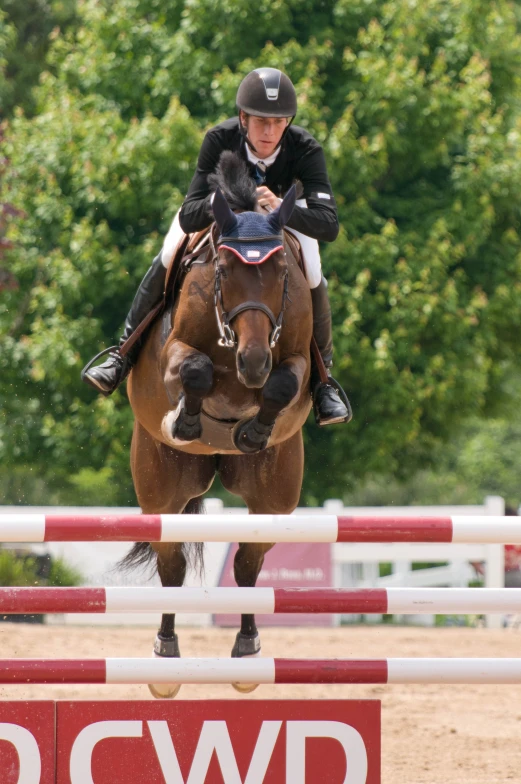 the rider on the horse is jumping over an obstacle