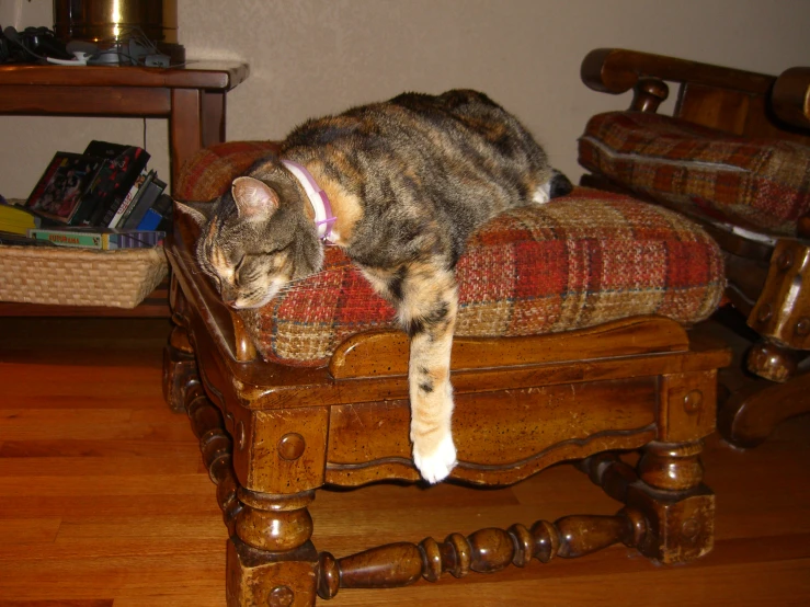 a cat laying down on a chair and on it's side