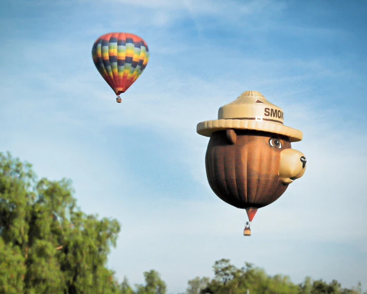 the balloon has a small bear head on it