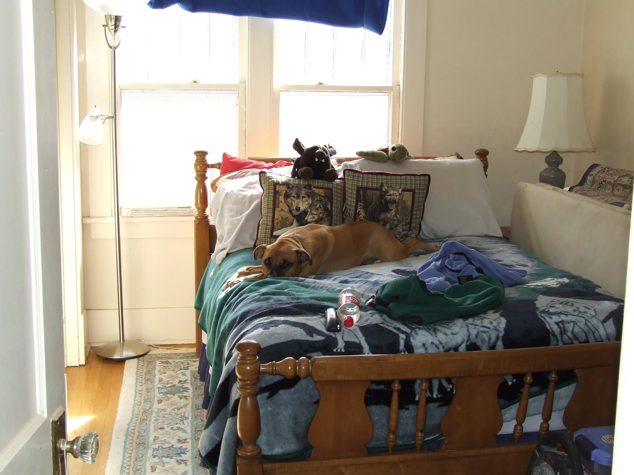 an image of a dog sleeping on a bed