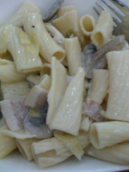 pasta and meat dish with a fork and a white plate