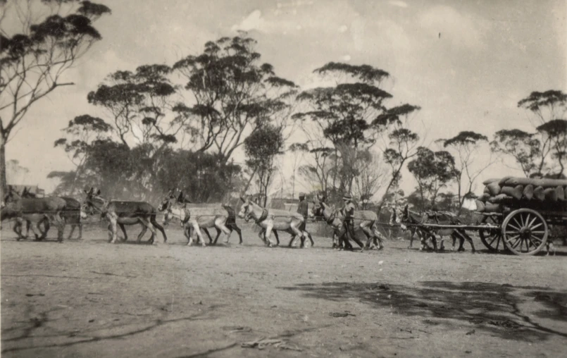 a black and white po of people on horses drawn carriage