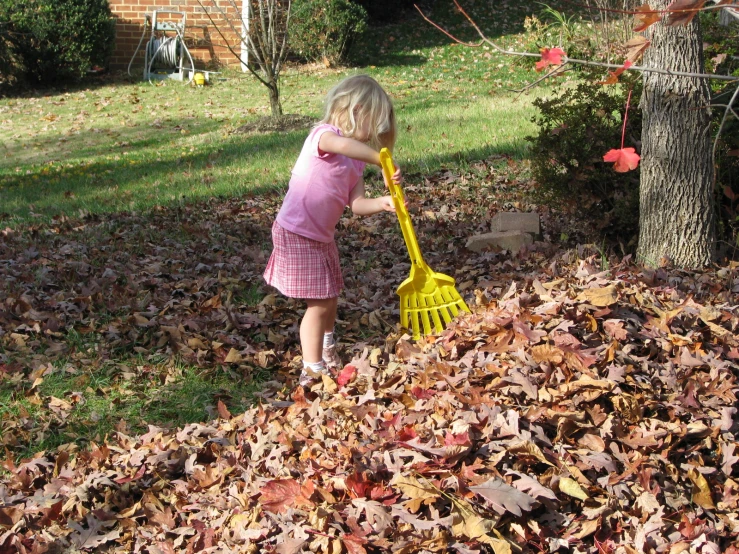 a little girl shoveling out leaves from the ground