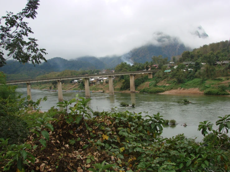 bridge in the middle of a river surrounded by trees