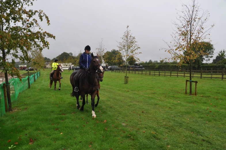 two people on horseback standing in an open field