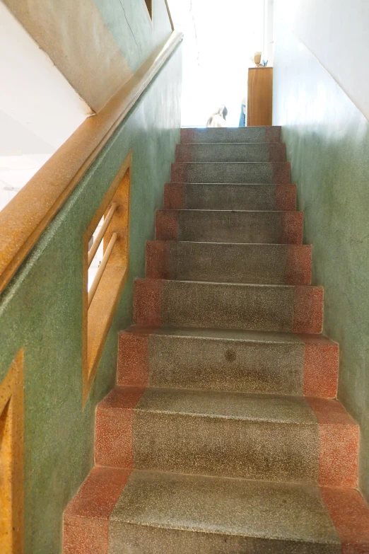 there is a carpeted set of stairs with red steps
