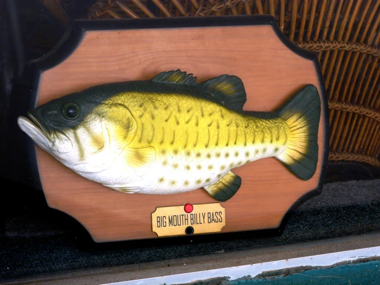 fish sitting on top of a plaque that says the reservoirbast pass