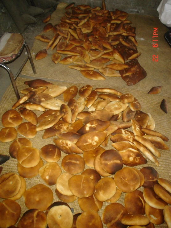 breaded doughs lined up in the kitchen