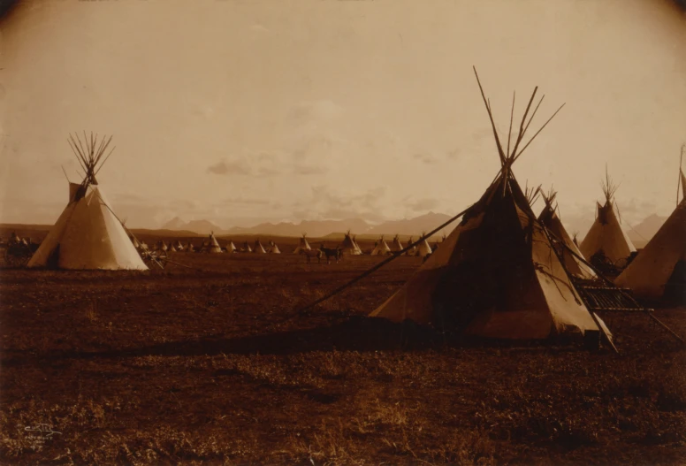 native american teepees with a herd of horses in the distance