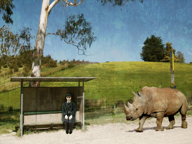 a man sitting on a bench next to a rhino