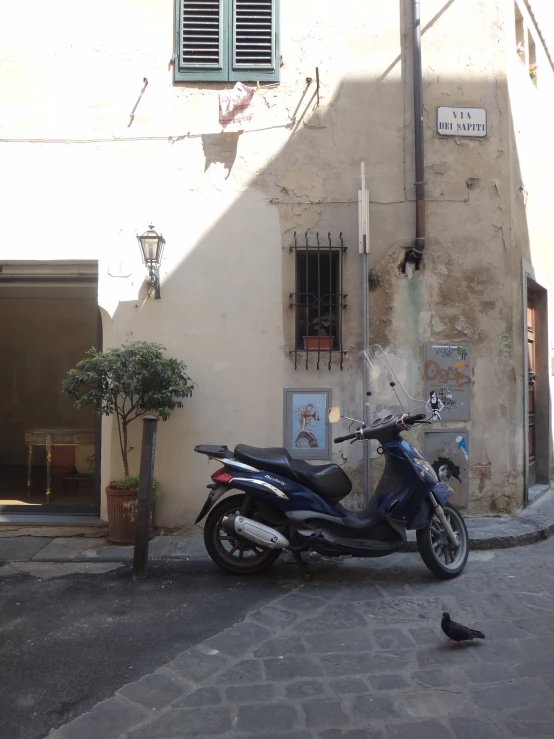 a scooter parked in front of a building and a pigeon on the street