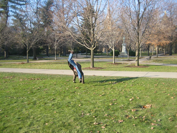 a man in a park holding a kite