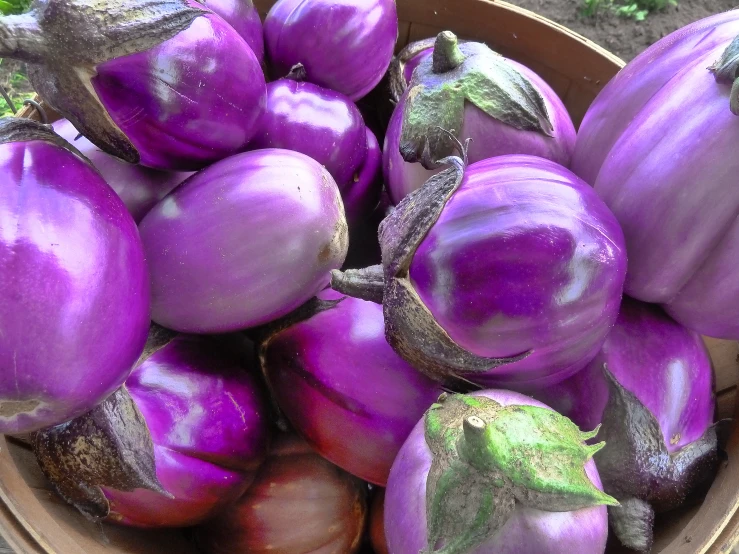 a bowl filled with purple bell peppers