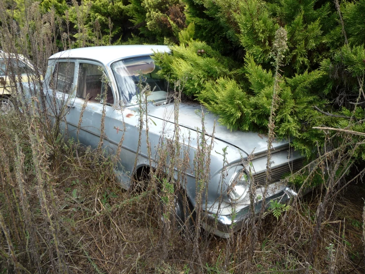 an abandoned silver car sitting amongst the weeds in the woods