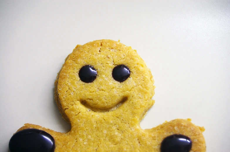 a cookie like character is decorated with dark chocolate eyes