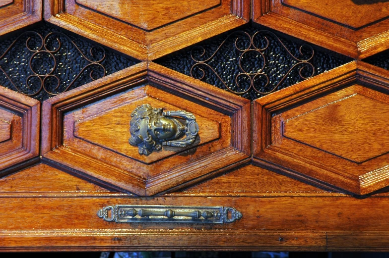 an antique wooden door has a lion's head 
