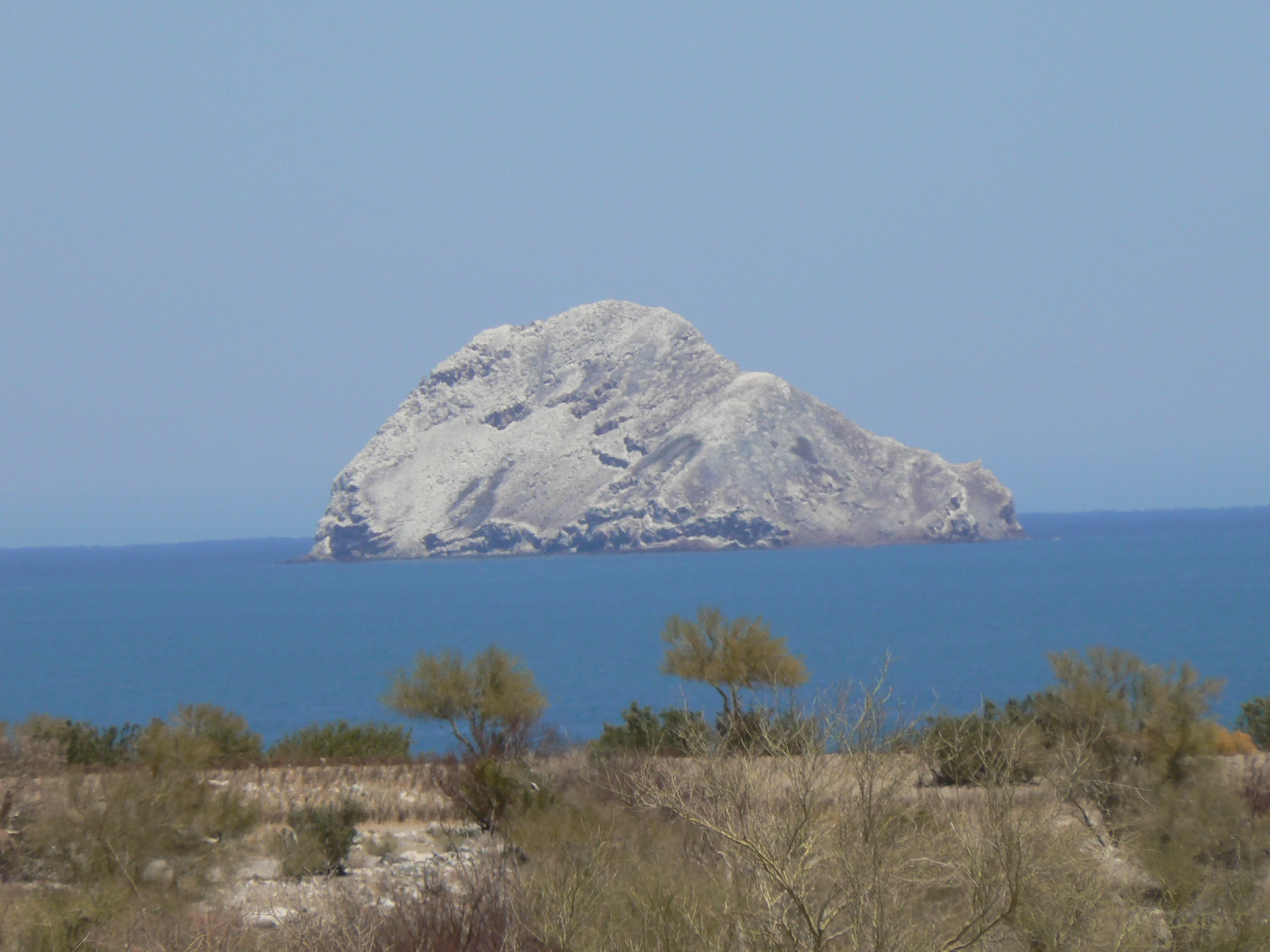 an island with snow on it is near some scrubby trees