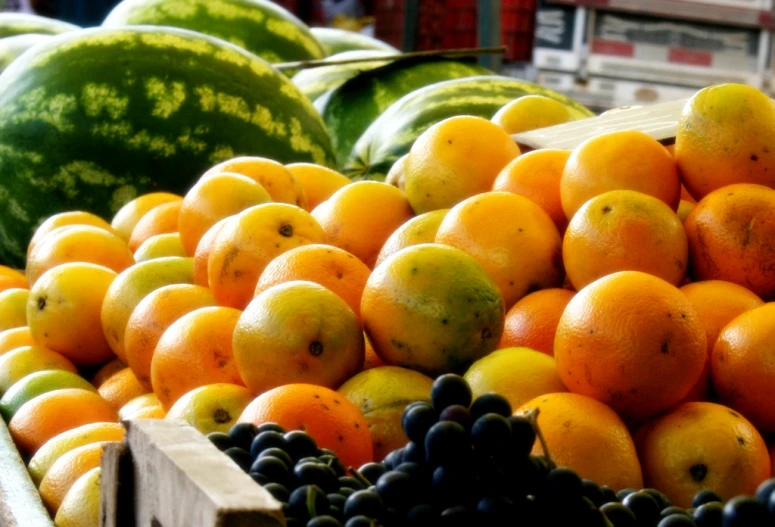 many oranges, gs, and watermelon in a basket