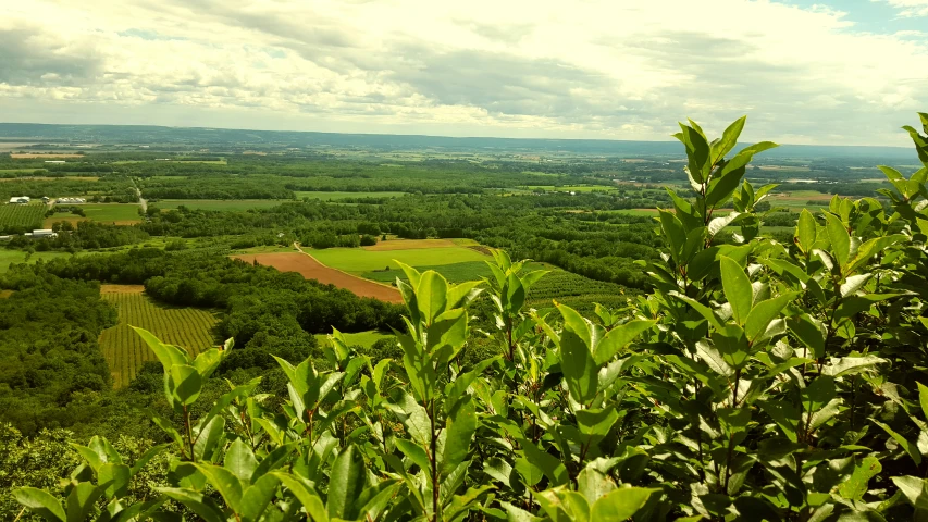 a panoramic view of green fields and trees