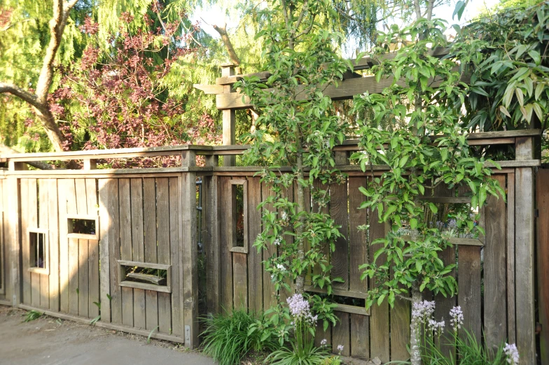 a small wooden fence surrounded by lots of trees