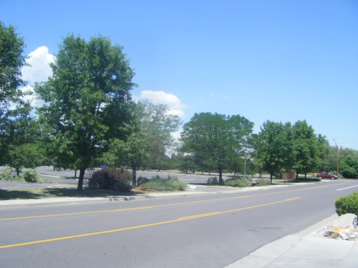 a quiet street with trees and bushes on each side
