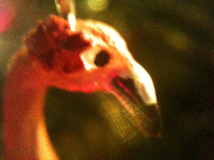 a blurry po of a bird with a candle in its beak