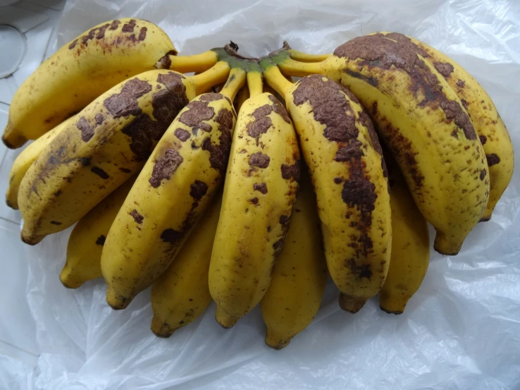 some very ripe looking bananas sit on white paper