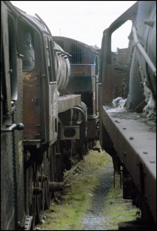 three rusty trains that are sitting side by side