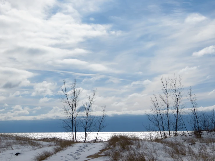 the sky is cloudy over the beach and trees