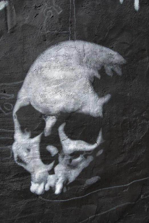 an image of the skull on a wall