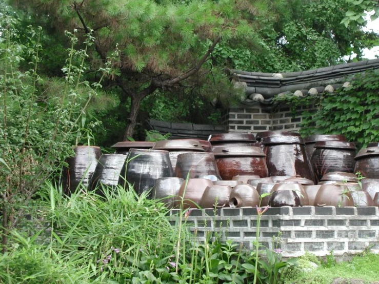 many pots are sitting outside near the trees