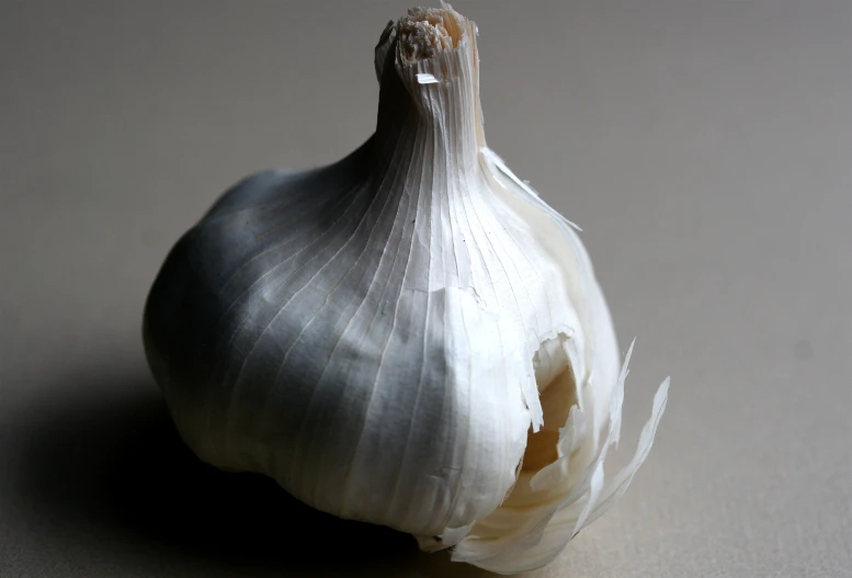 a po of a garlic bulb cut open