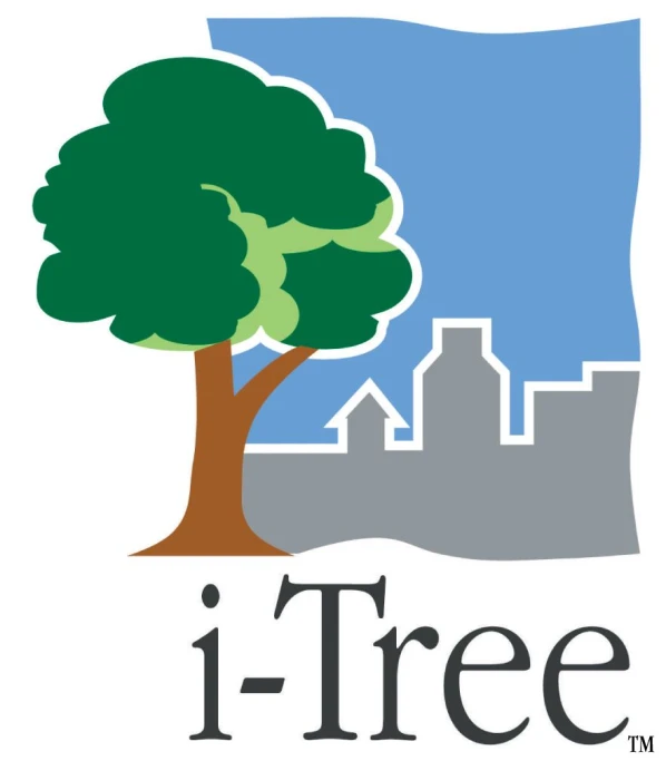 the logo for the 1 - tree community