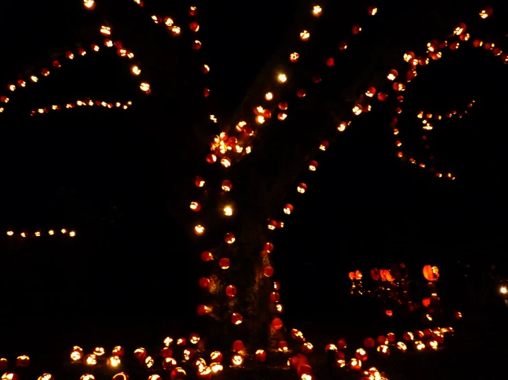 large light bulbs decorate a tree in the dark